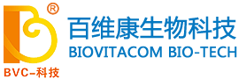 歡迎訪問連云港泛遠(yuǎn)國(guó)際貨運(yùn)代理有限公司官網(wǎng)